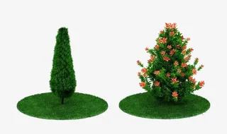 园艺石榴树与松树免抠
