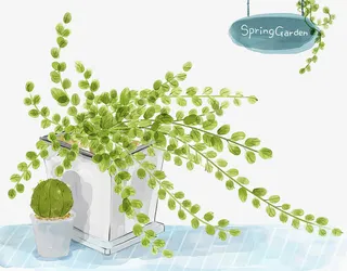 绿色盆栽植物插画免抠