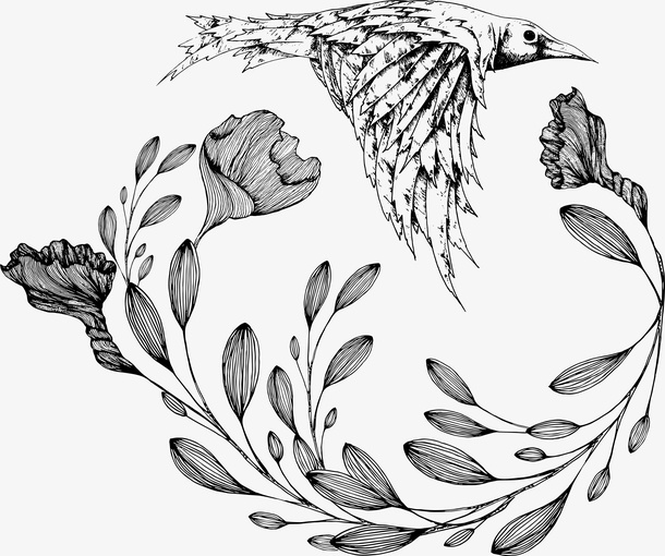 素色手绘花和飞鸟线稿免抠