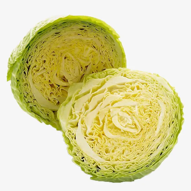 横断面的卷心菜免抠