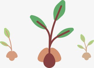 植树节发芽的树苗免抠