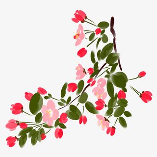 春天花朵元素图免抠