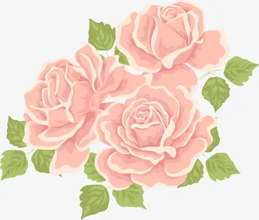 手绘粉色玫瑰花免抠