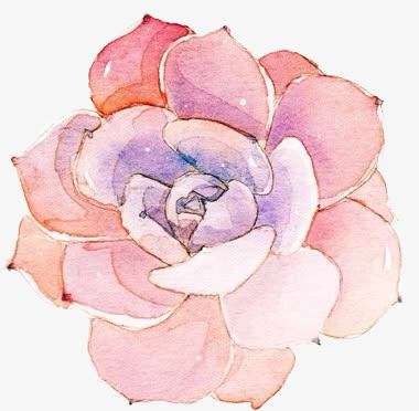 手绘花朵免抠