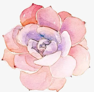 手绘花朵免抠