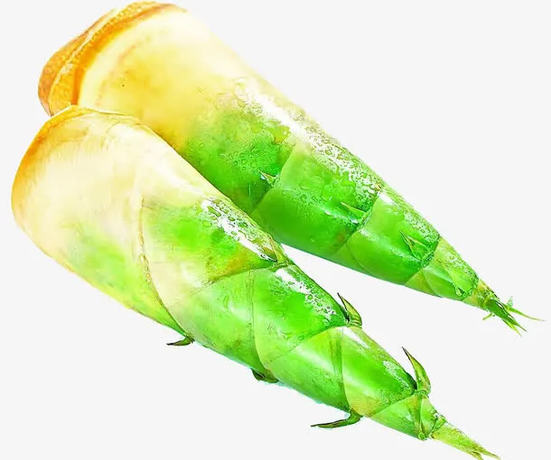 绿色竹笋免抠