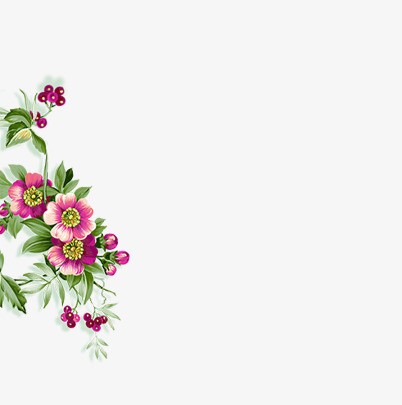 果实与鲜艳的花朵免抠