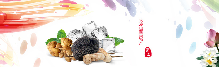 菌类干货特卖海报高清