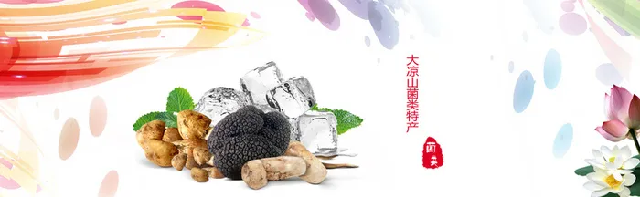 菌类干货特卖海报高清