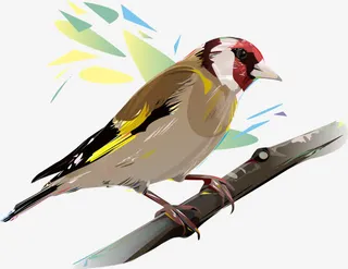 矢量手绘树枝与小鸟免抠