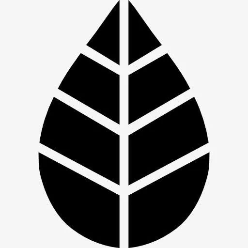 叶图标免抠