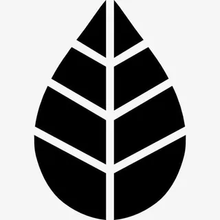 叶图标免抠 叶图标免抠