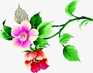 粽情端午节花瓣绿色树枝叶子免抠