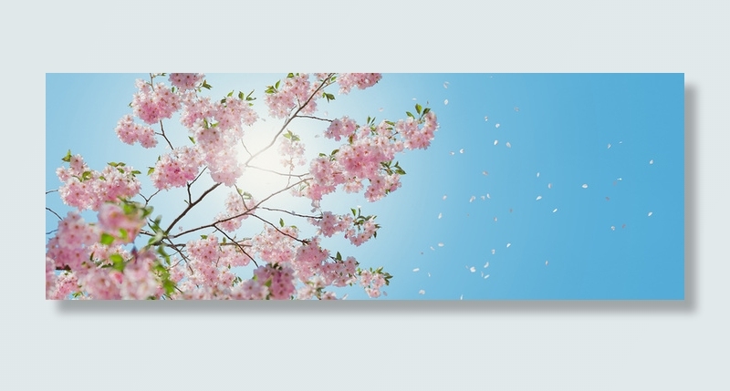 春天花朵背景图高清