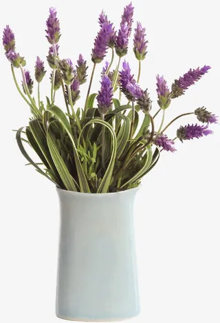 装薰衣草的白色花盆免抠