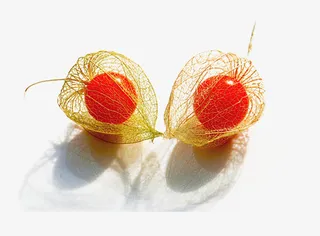 红心灯笼果素材图片免抠