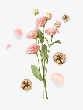 春天鲜花礼物免抠