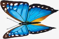 春季新装隆重上市免抠