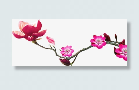 中国风粉色花朵图片免抠