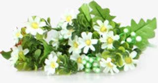 花卉中秋节淘宝专题模板免抠