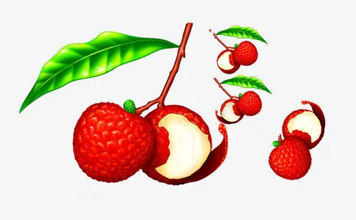 手绘美味的荔枝素材图片免抠