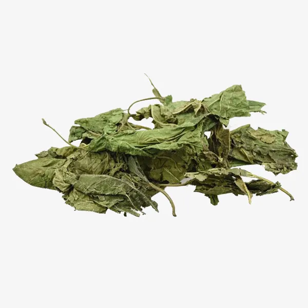 桑葚叶干免抠
