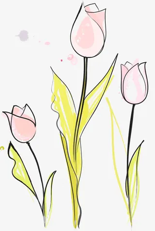 手绘郁金香免抠