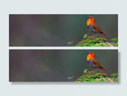 文艺小清新摄影banner壁纸