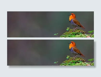 文艺小清新摄影banner壁纸