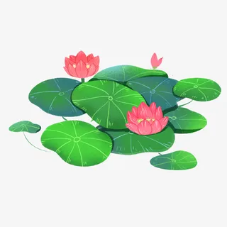 手绘卡通立夏荷花免抠