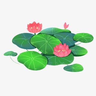 手绘卡通立夏荷花免抠