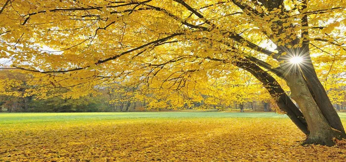 淘宝背景图高清