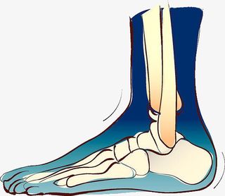 手绘人物脚免抠