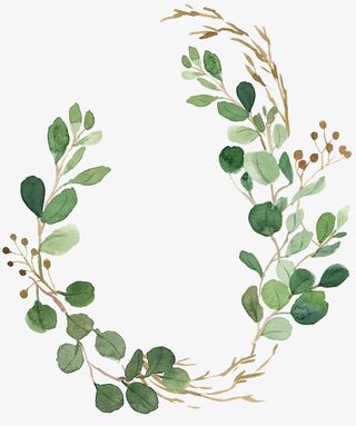 水彩叶子免抠