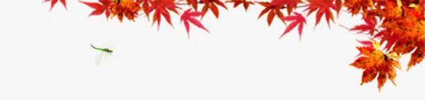 落叶免抠