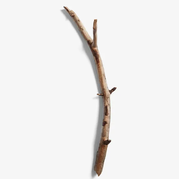 颓废枯树枝免抠