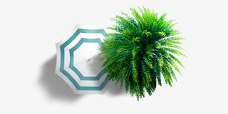 夏日海边遮阳伞椰树免抠