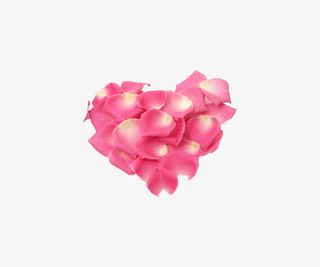 粉色玫瑰花瓣爱心免抠