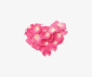 粉色玫瑰花瓣爱心免抠
