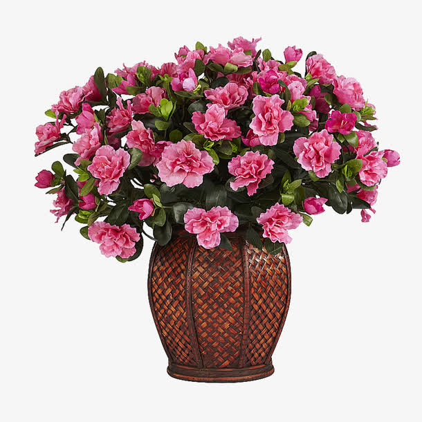 中国风鲜花花束免抠