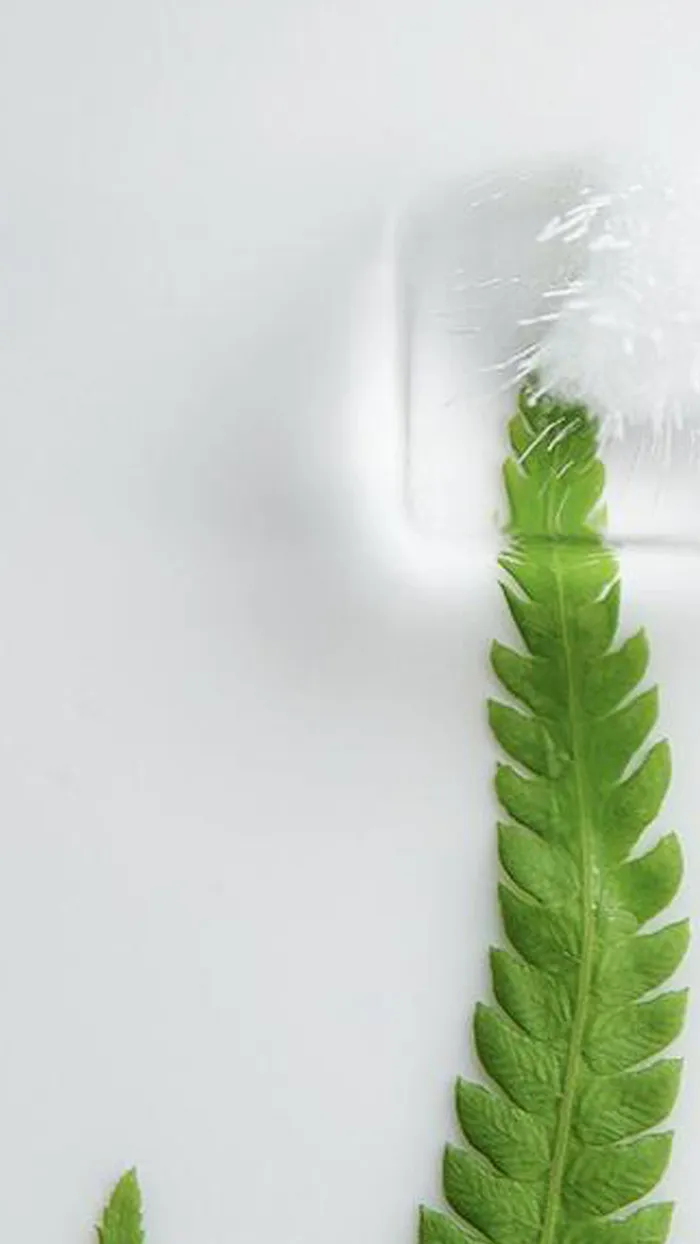 简约绿叶H5背景高清
