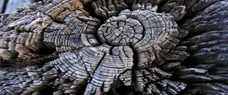 木头质感背景高清