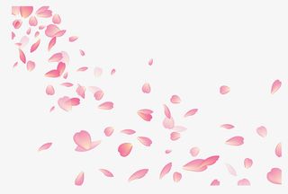 飞舞的粉花瓣免抠