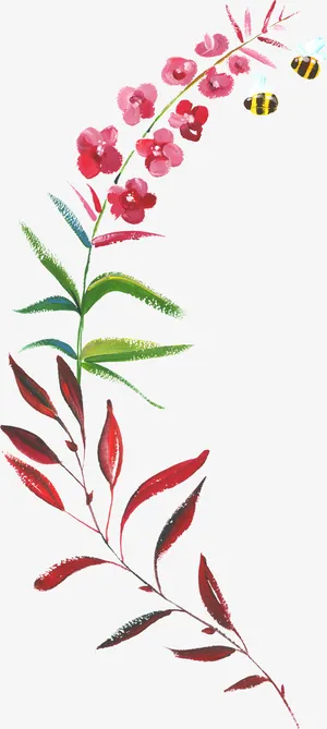 花朵上的蜜蜂免抠