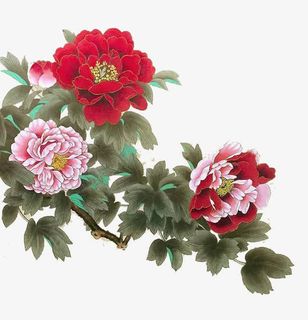 手绘水墨画牡丹免抠