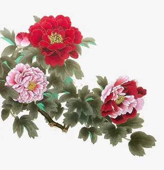 手绘水墨画牡丹免抠