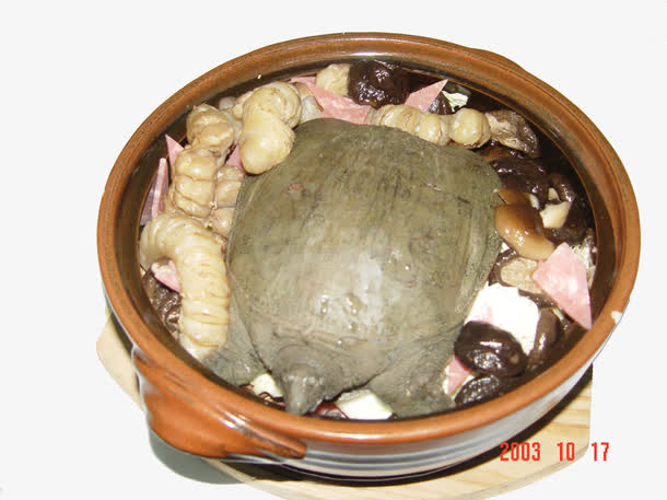 甲鱼香菇汤免抠
