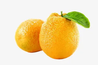 桔子图片免抠