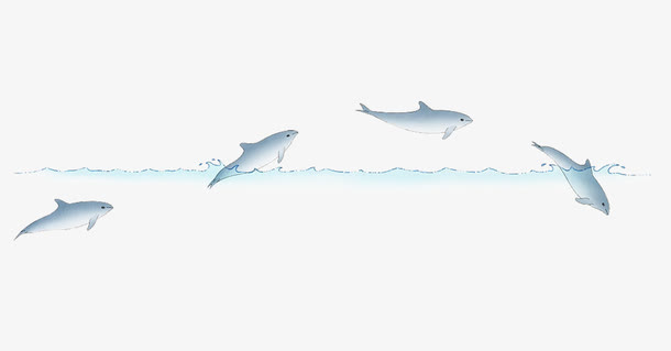 小清新海豚插画免抠
