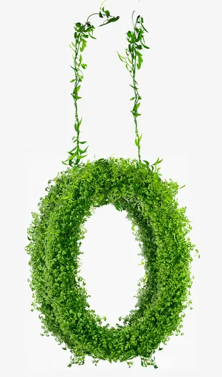 绿色草丛圆圈免抠